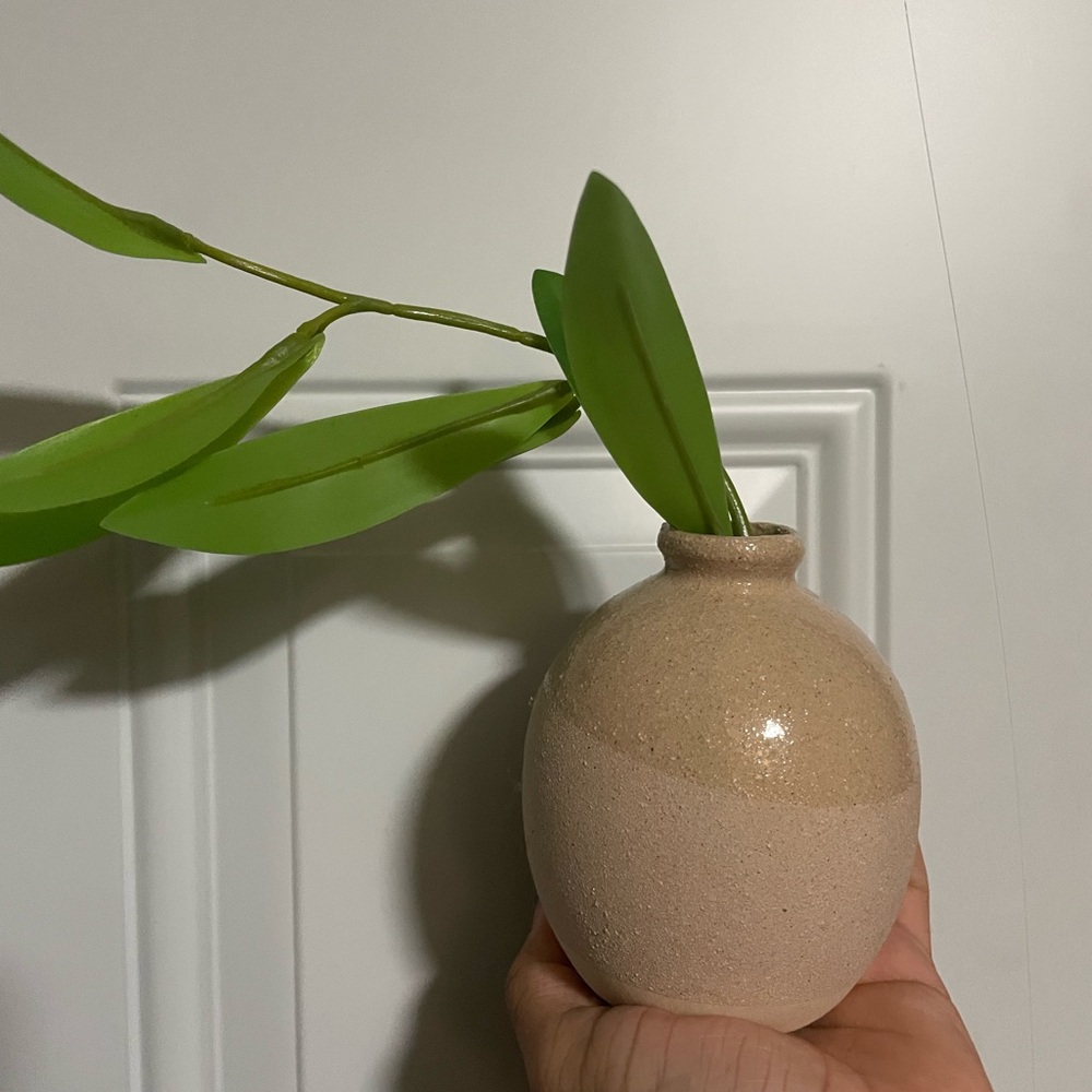 Ceramic vase with green plant cuttings tabletop arrangement from Threshold